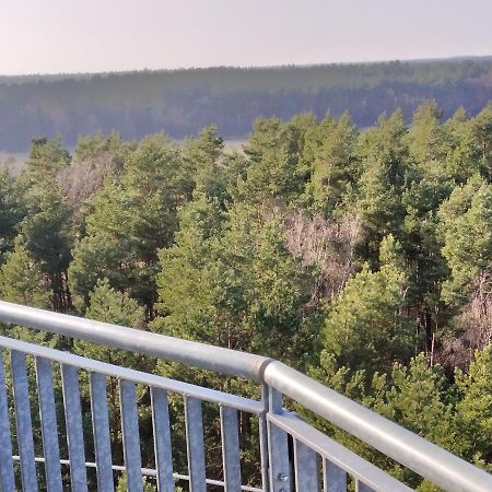 Waldhaus Hilde Villa Suderburg Eksteriør bilde