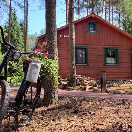 Waldhaus Hilde Villa Suderburg Eksteriør bilde